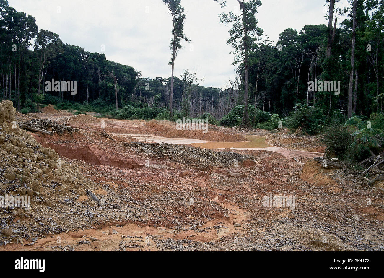 Wasserverschmutzung und Abholzung von Placer gold-Bergbau in der Amazonas Region von Venezuela Stockfoto