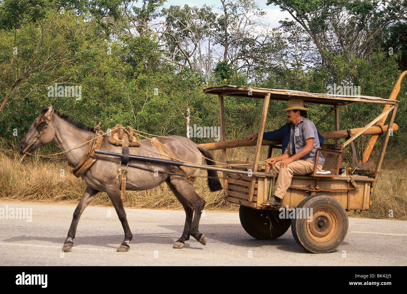 Pferdewagen zwischen Trinidad und Veradero Stockfoto