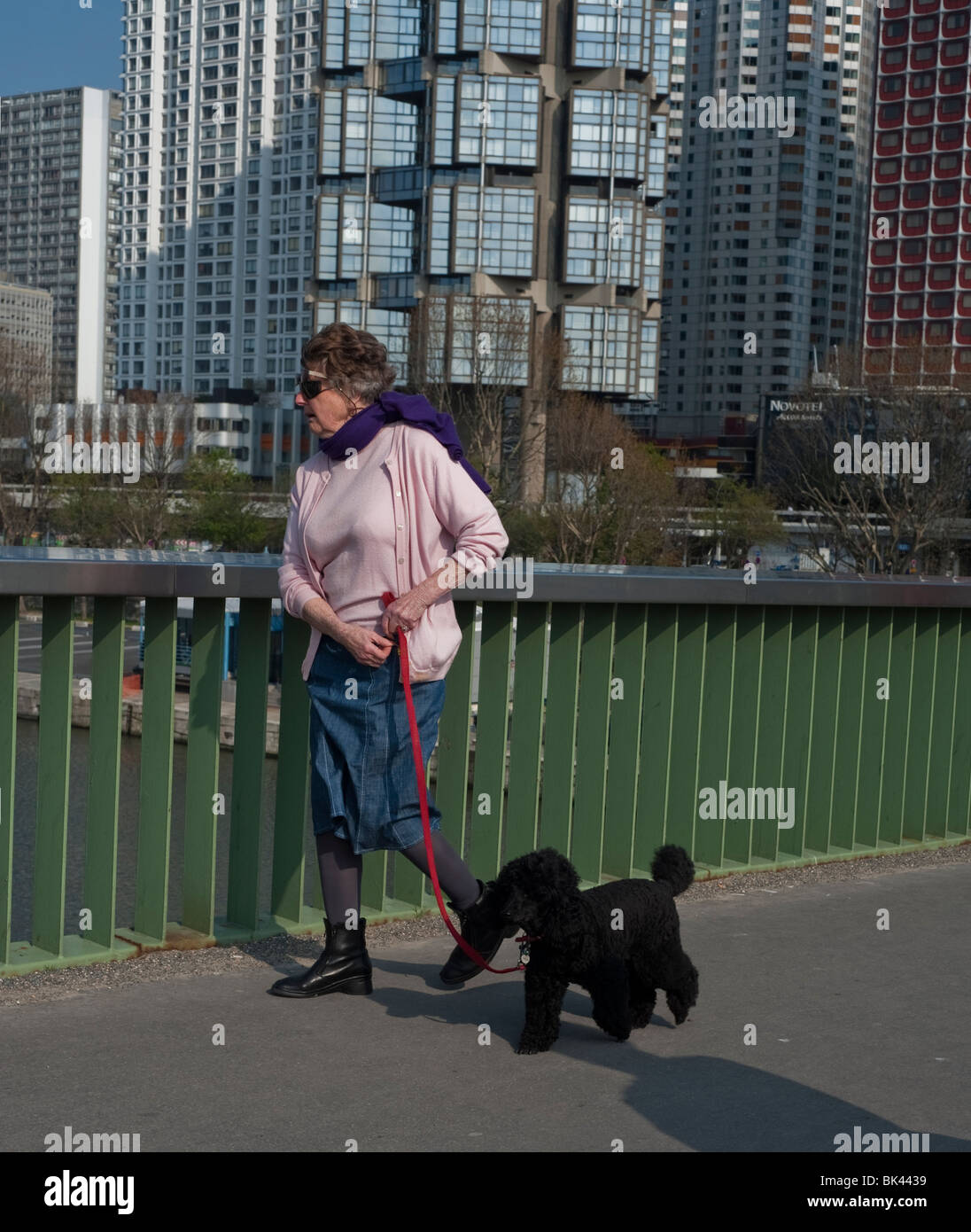 Paris, France, French Woman Walking Pet Dog, Black French dog, on Bridge, (Pont de Grenelle) Stockfoto