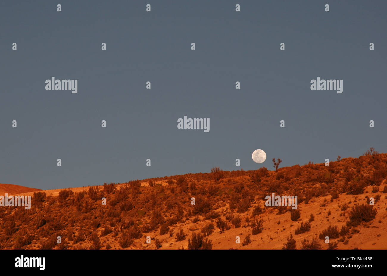 Mond Erhöhung in der Atacamawüste, Chile Stockfoto