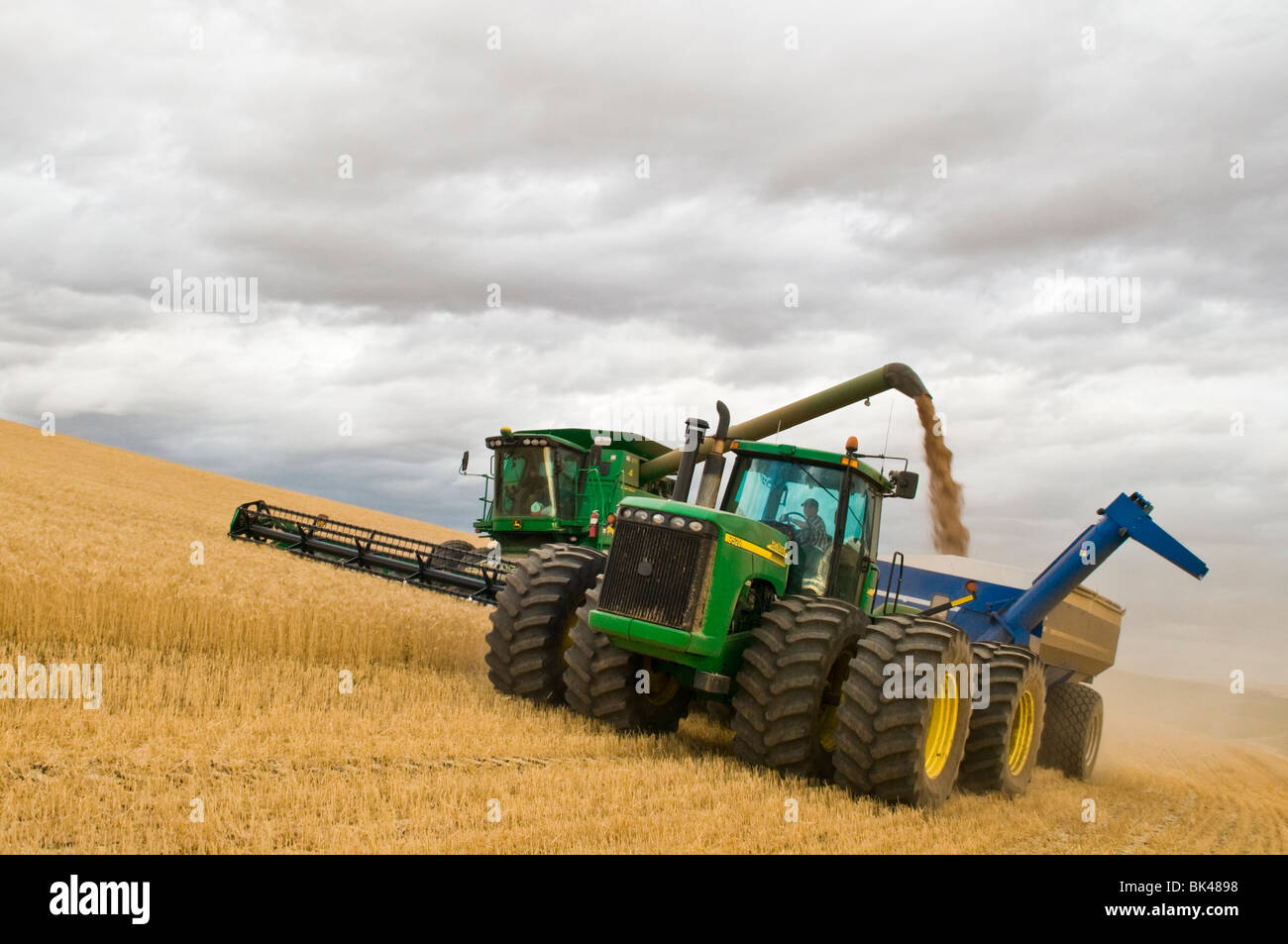 Ein Mähdrescher entlädt Weizen auf dem Sprung zu einem Getreide Wagen, gezogen von einem Traktor in der Palouse Region Eastern Washington Stockfoto
