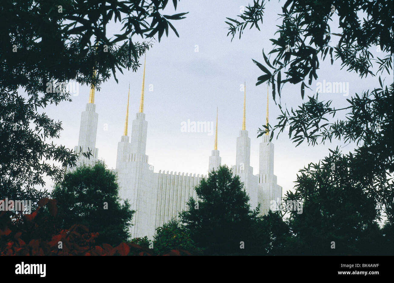 Tempel der Mormonen in Washington, D.C. Stockfoto