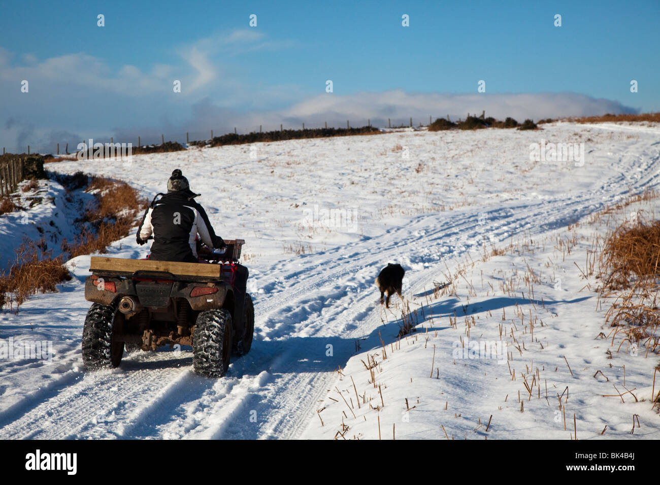 Landwirt fahren über Schnee bedeckt Track im Winter Wales UK Stockfoto