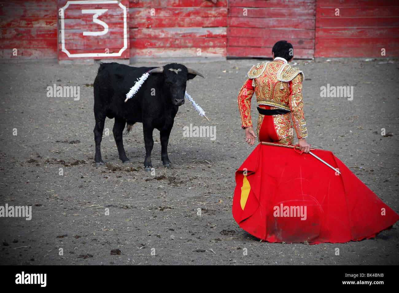 Stierkampf in Ecuador Stockfoto