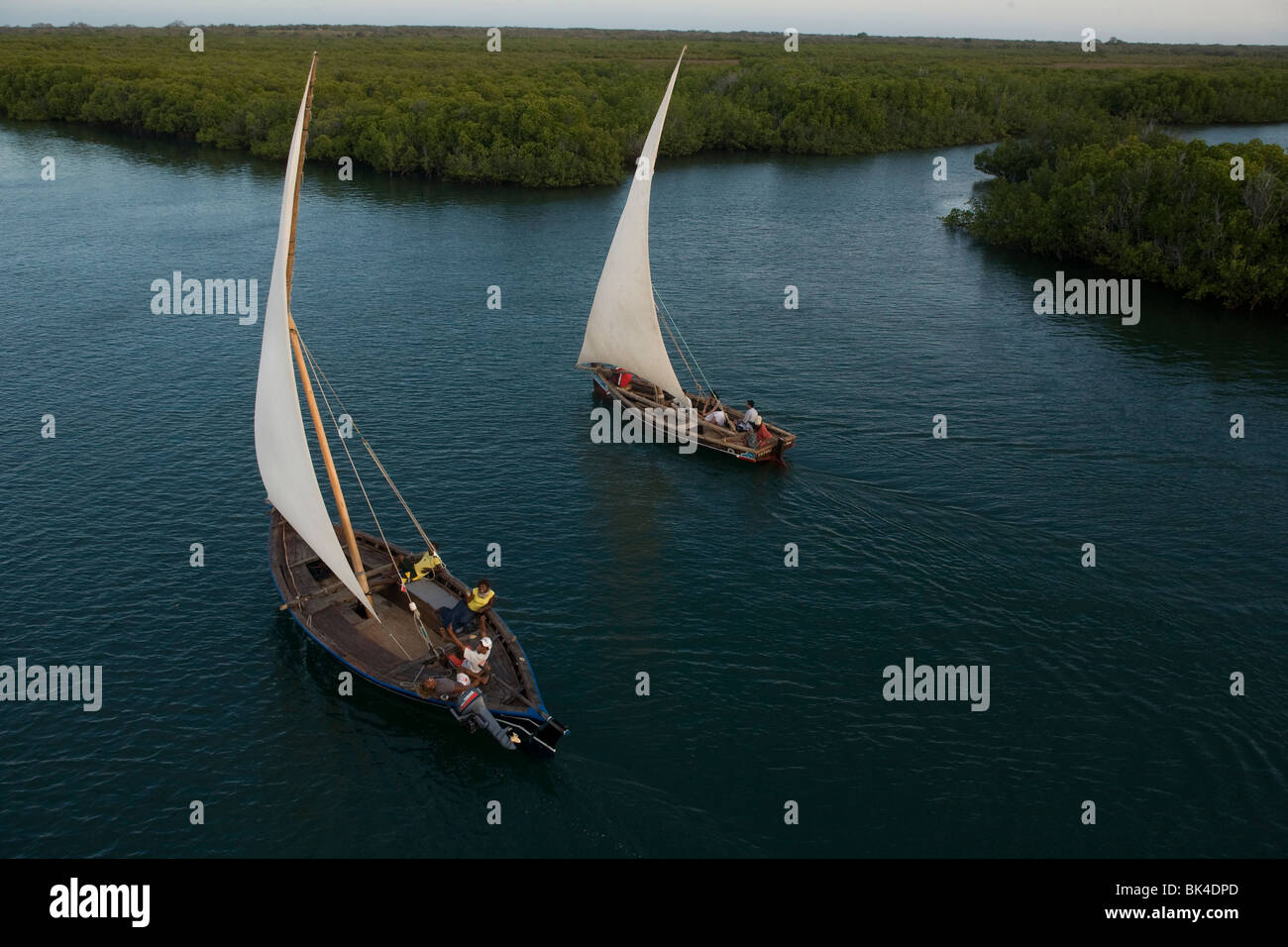 Dhows segeln in der Nähe der Mangroven-Kanäle von Manda Island am 9. Oktober 2009, Kenia. Stockfoto