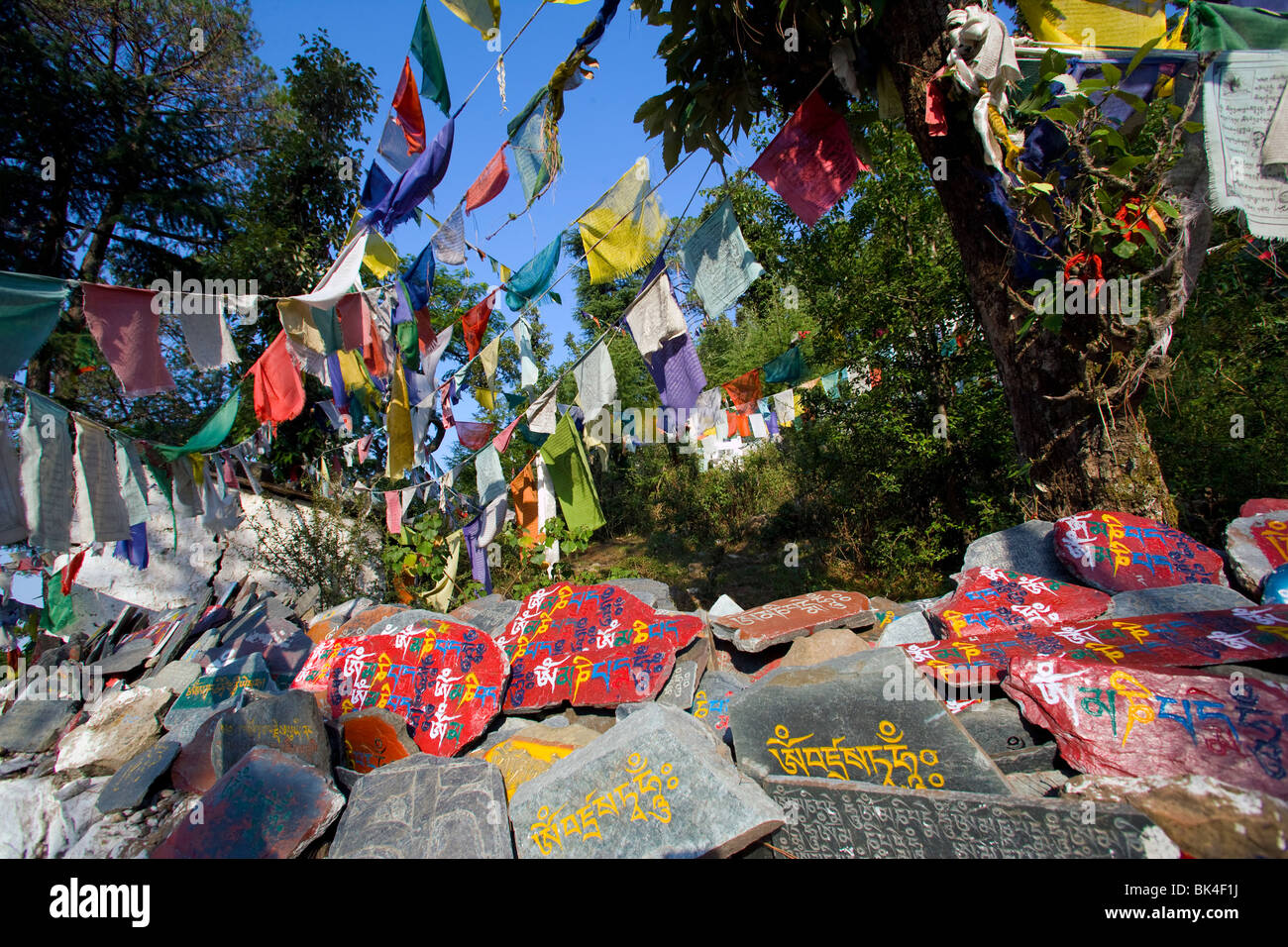 Tibetischen geschnitzt, Steinen und Gebetsfahnen auf dem Weg in Dharamsala, Indien Stockfoto