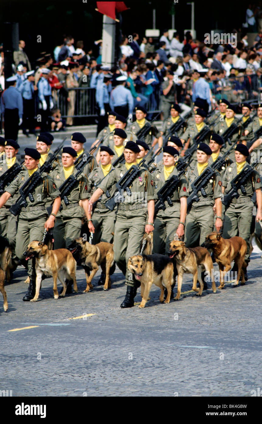 Militärische Einheit mit Hunden in der Bastille Day Parade, Paris Stockfoto