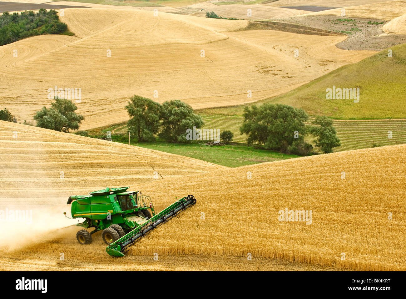 John Deere kombinieren beim Ernten von Weizen auf hügeligen Feldern in der Palouse Region Washington Stockfoto