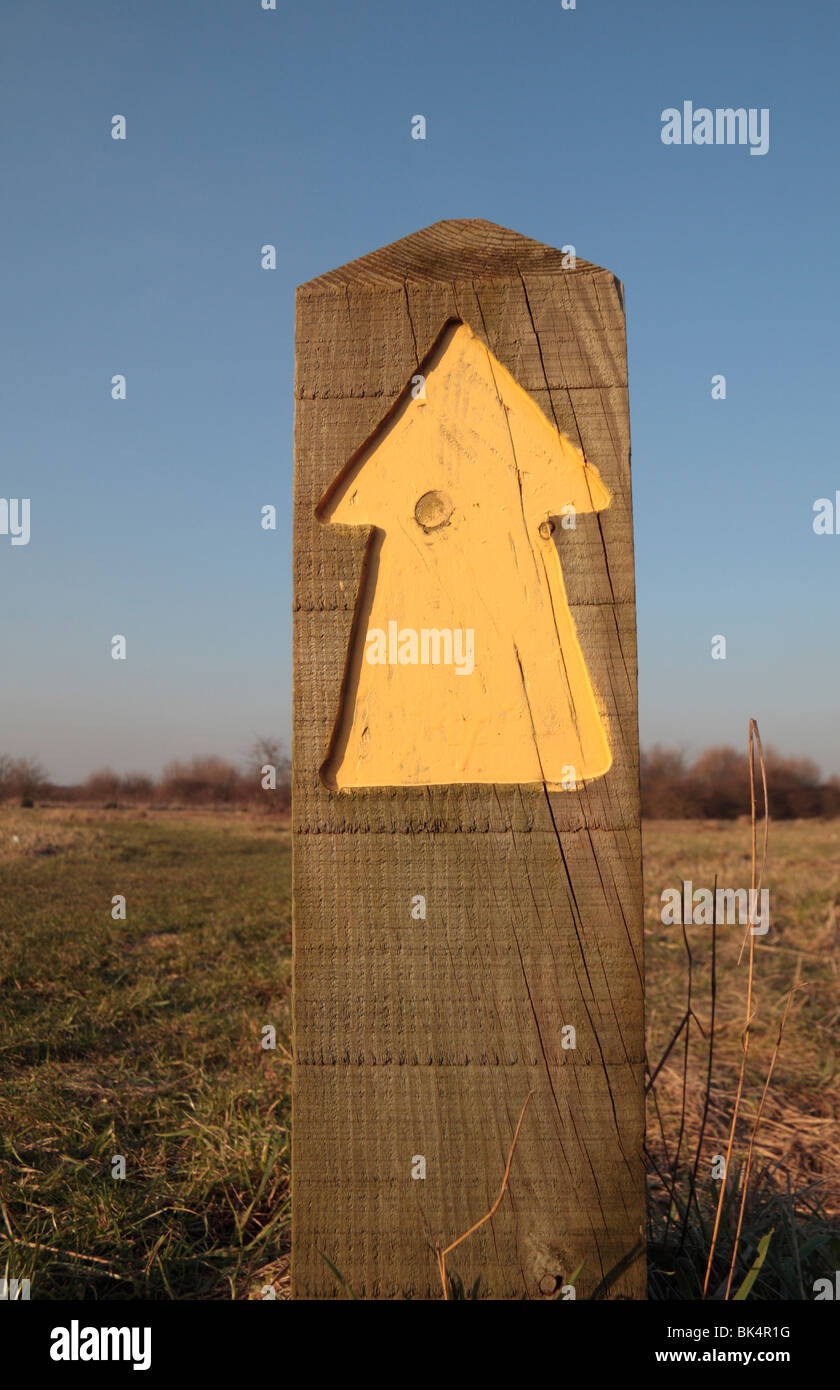 Nahaufnahme von Holz zu Fuß Marker auf Hounslow Heath, Middx, UK. Stockfoto