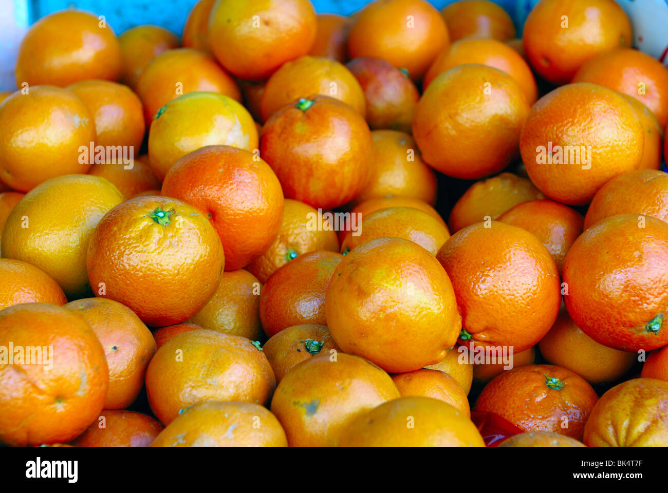 Bio-Orangen in Shop-box Stockfoto