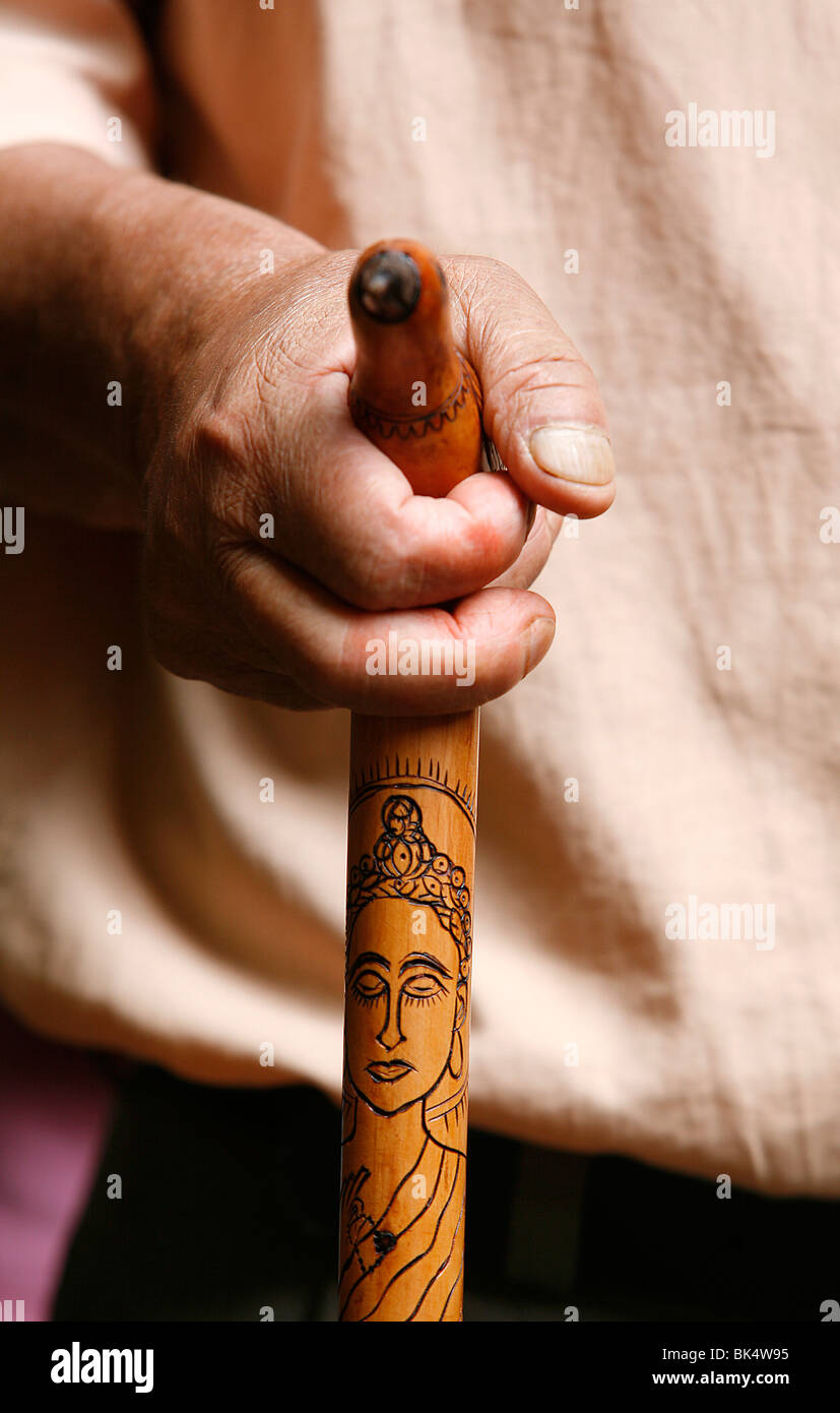 Stick graviert mit einem Buddha, Dakshin Kali, Nepal, Asien Stockfoto