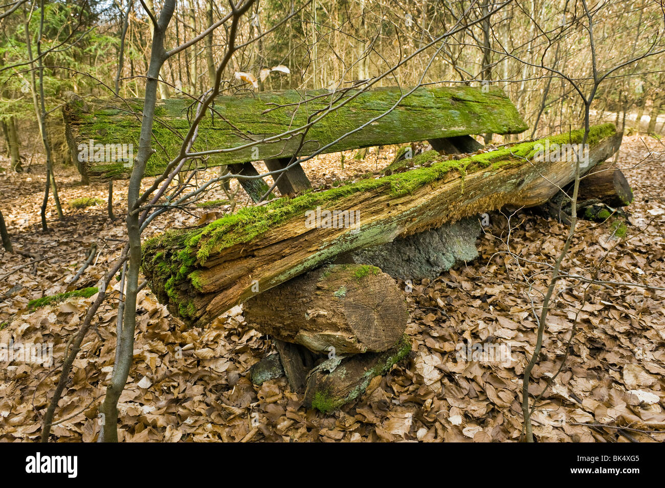 Bank im Wald Zeit vergeht verwitterten Wetter geschlagen schlagen Detrial Verderblichkeit Vergänglichkeit Vergänglichkeit faulen Holz Möbel Stockfoto