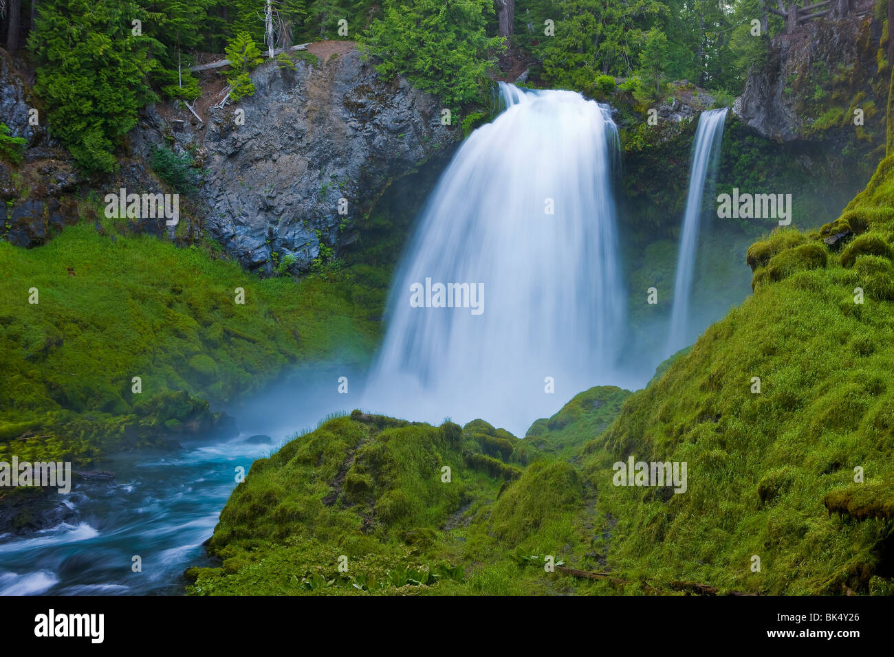 SAHALIE FALLS, OREGON, USA - Sahalie fällt auf das Quellgebiet des Flusses McKenzie, im Willamette National Forest. Stockfoto