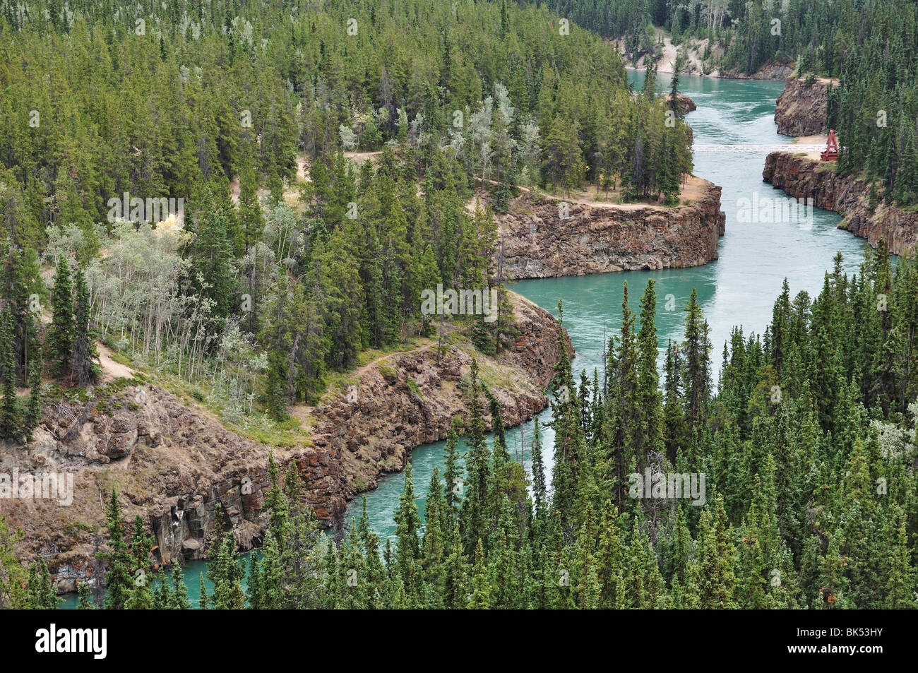 Yukon River und Miles Canyon in der Nähe von Whitehorse, Yukon Territorium, Kanada Stockfoto