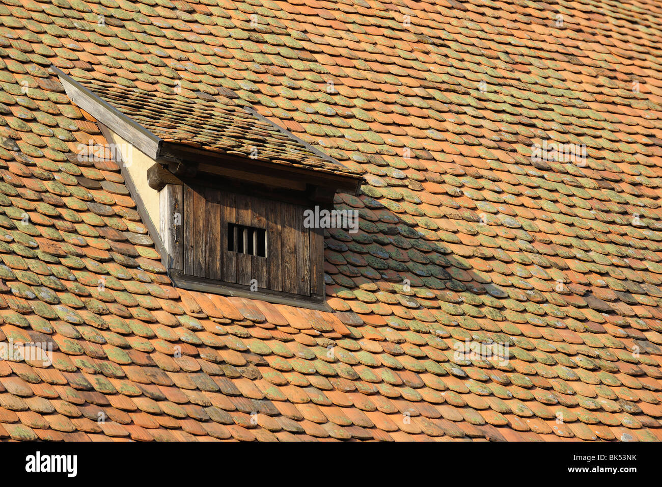 Doormer Fenster, Dach Stockfoto