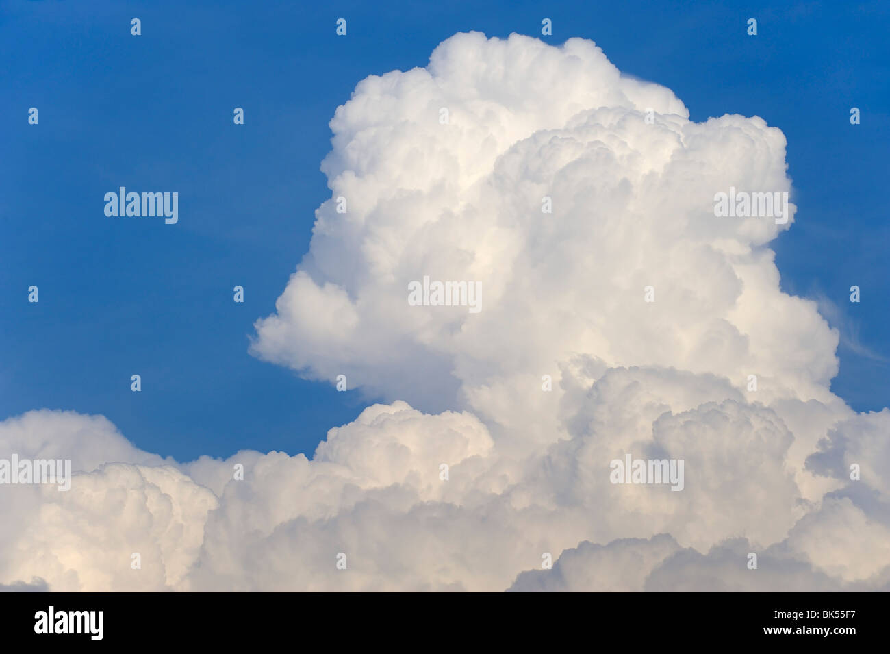 Cumulonimbus Wolken und blauer Himmel Stockfoto