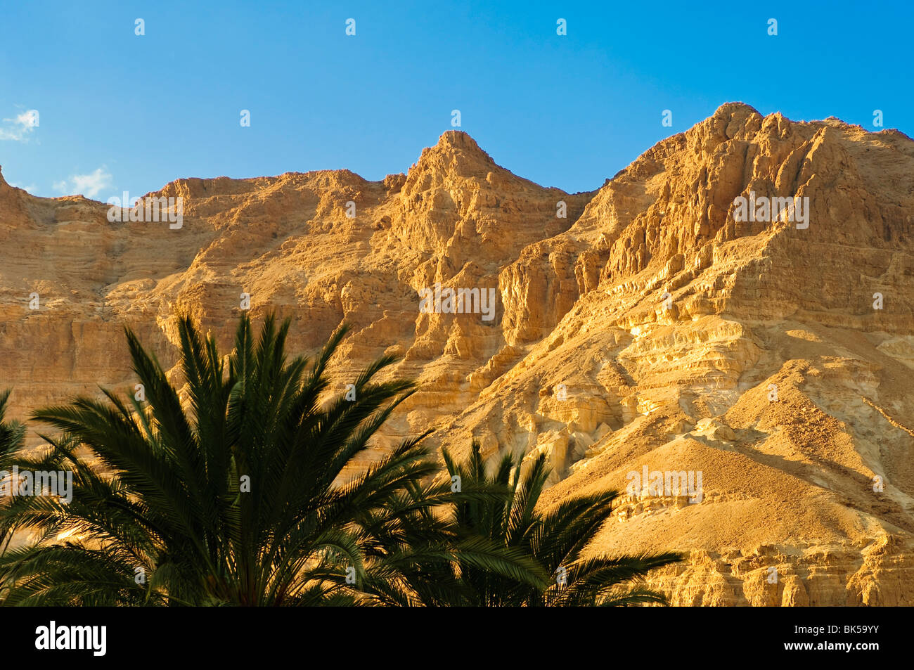 Dead Sea Region, Israel, Nahost Stockfoto