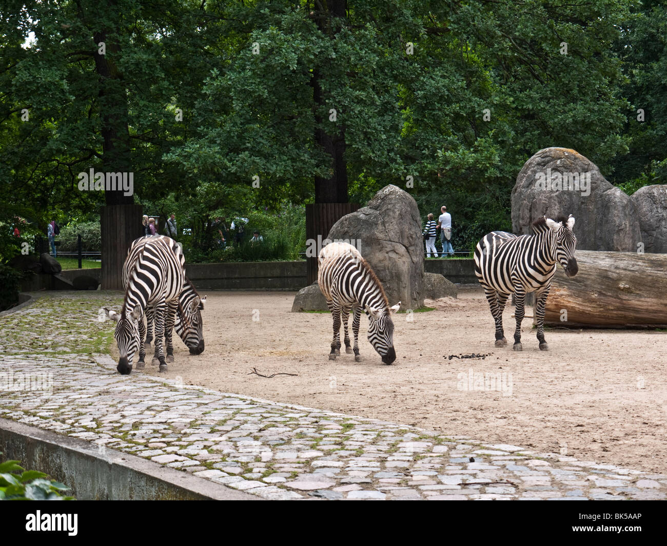 Zoo Berlin Zoologischer Garten Stockfotos Und Bilder Kaufen Alamy