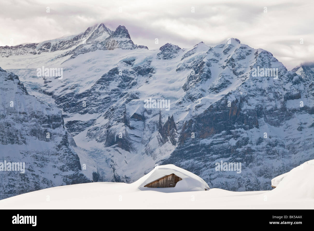 Schwer fällt der Schnee an der Nordwand des Eiger, Grindelwald, Jungfrau Region, Berner Oberland, Schweizer Alpen Stockfoto