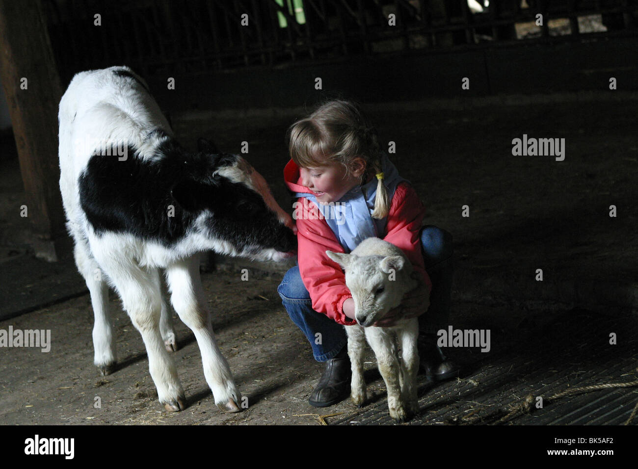 Bauerstochter im Stall mit Neugeborenen Tieren Stockfoto