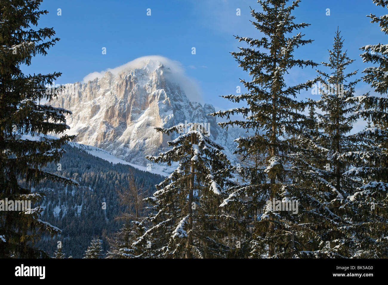 Berg Langkofel, 3181 m, Val Gardena, Dolomiten, Südtirol, Trentino-Alto Adige, Italien, Europa Stockfoto