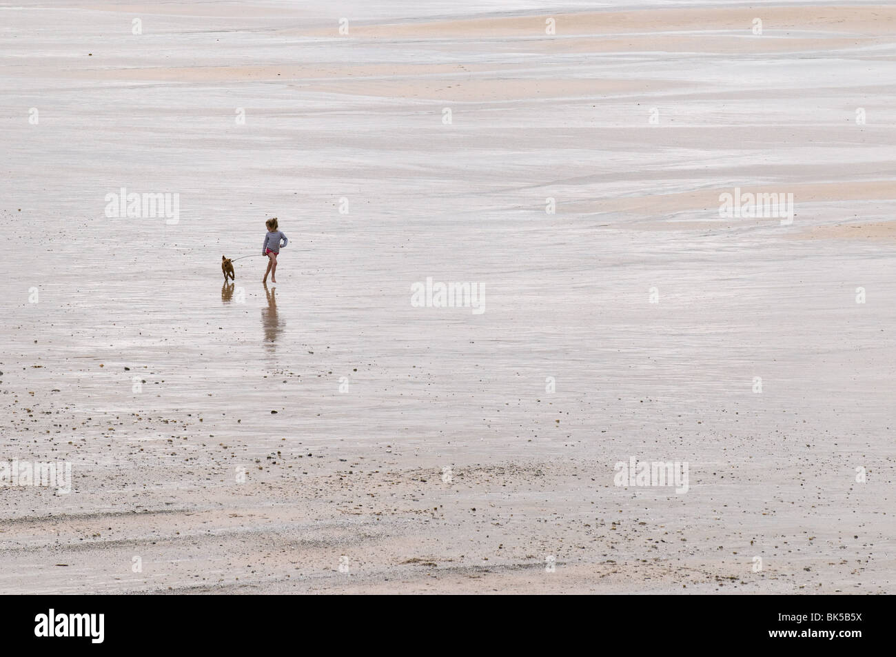 Ein entfernter Blick auf ein junges Mädchen und ihren Hund, der über den Fistral Beach in Newquay in Cornwall läuft. Foto von Gordon Scammell Stockfoto