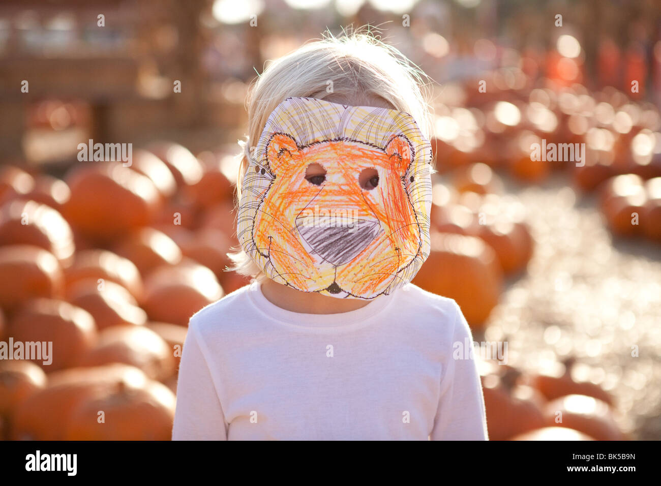 Kleines Kind mit hausgemachten Löwe Maske Stockfoto