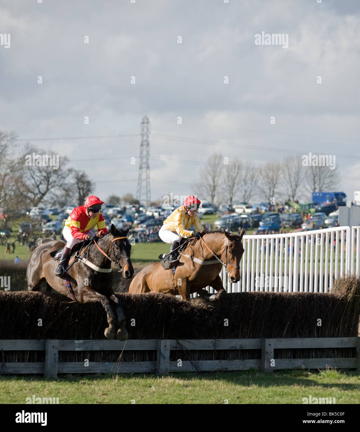 Zwei Pferde springen den Zaun zusammen auf einer Punkt-zu-Punkt-Veranstaltung Stockfoto