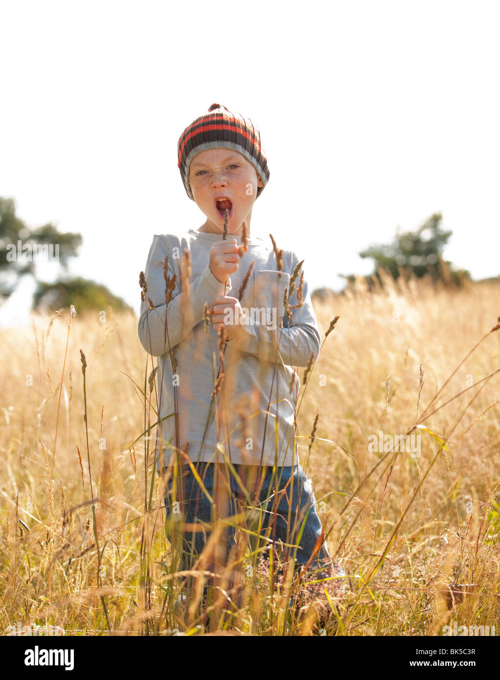Junge im Feld singen Stockfoto