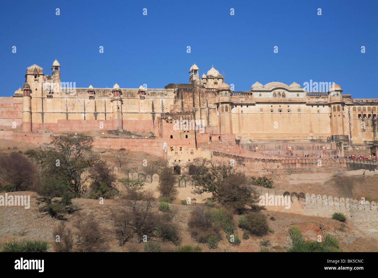 Amber Fort Palace, Jaipur, Rajasthan, Indien, Asien Stockfoto