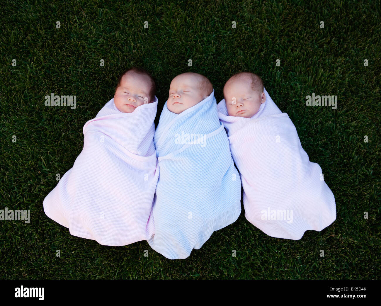 Triplett Babys Verlegung in Rasen Stockfoto