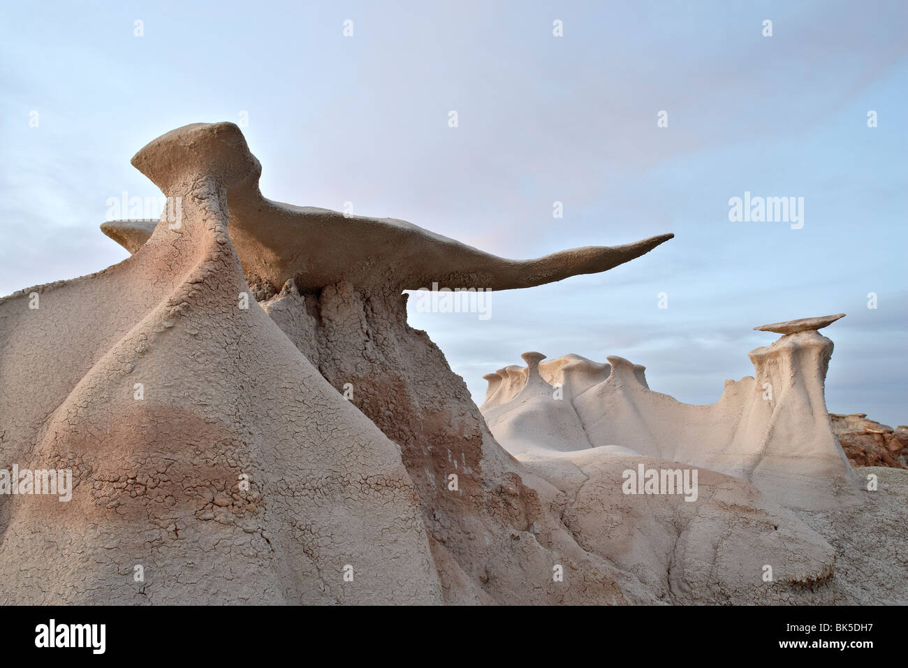 Die Stein-Flügel-Formationen bei Dämmerung, Bisti Wilderness, New Mexico, Vereinigte Staaten von Amerika, Nordamerika Stockfoto