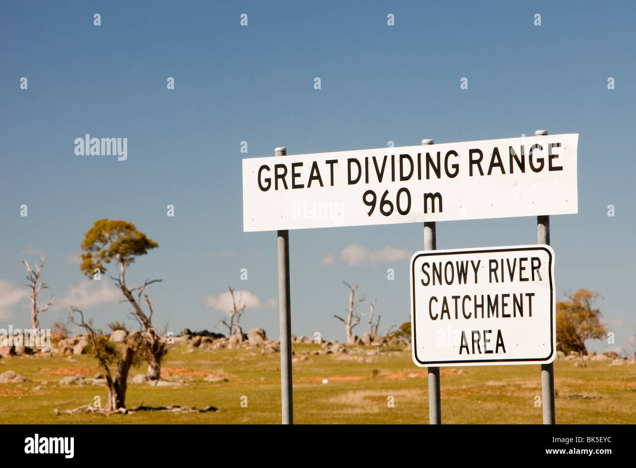 Bäume getötet von Trockenheit auf der Great Dividing Range in New South Wales, Australien. Stockfoto