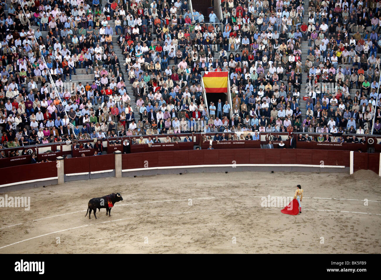Ein Stierkampf findet in Las Ventas in Madrid, Spanien, Europa Stockfoto