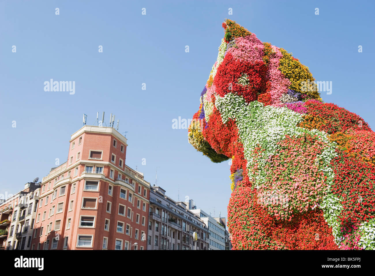 Welpe, Hund Blume Skulptur von Jeff Koons, Bilbao, Baskisches Land, Spanien, Europa Stockfoto