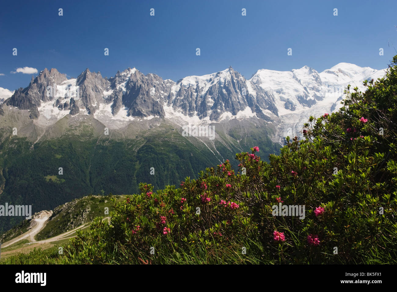Mont Blanc und das Tal von Chamonix, Rhone Alpes, Frankreich Stockfoto