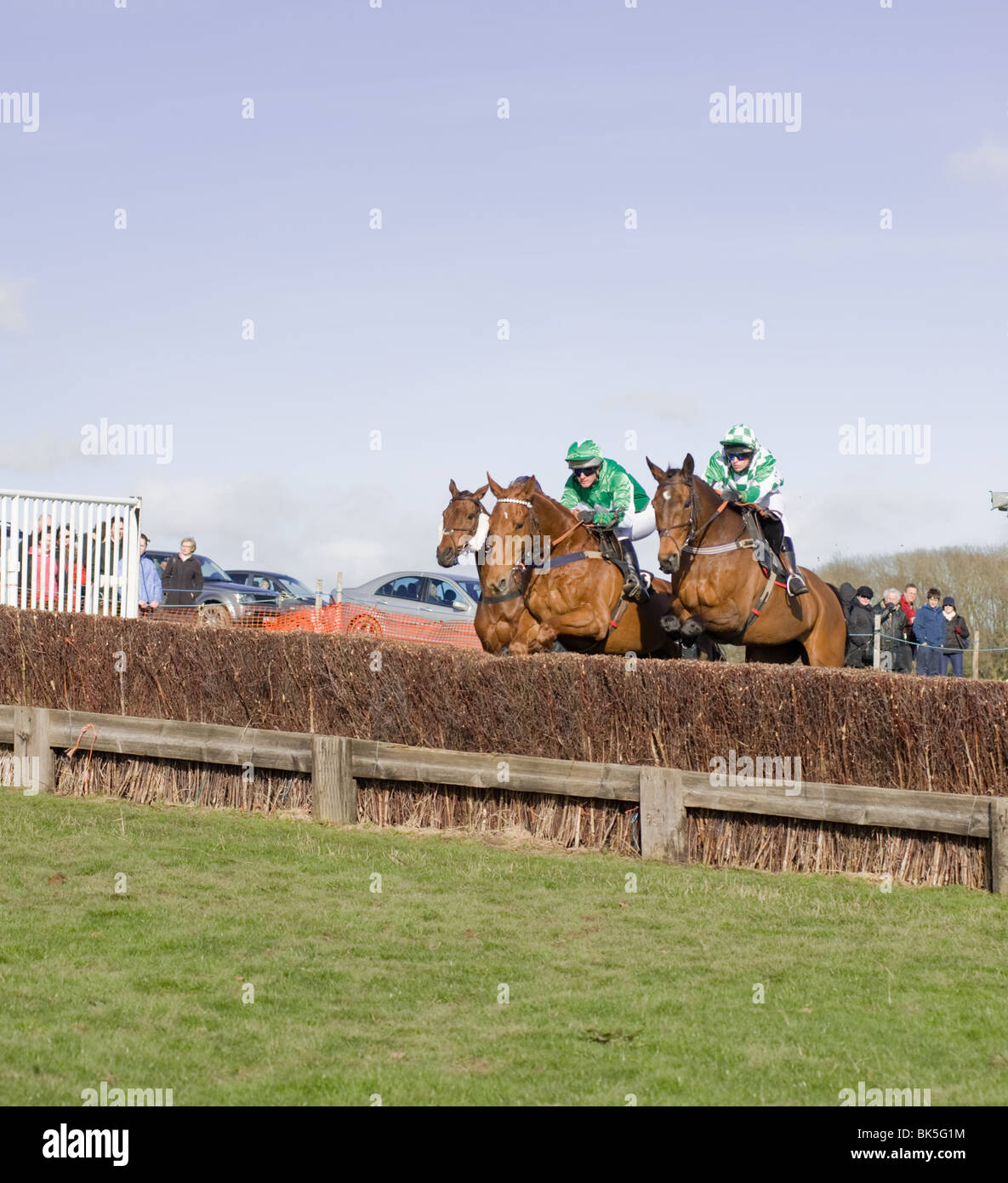 Drei Pferde springen einen Zaun auf einer Punkt-zu-Punkt-Veranstaltung Stockfoto