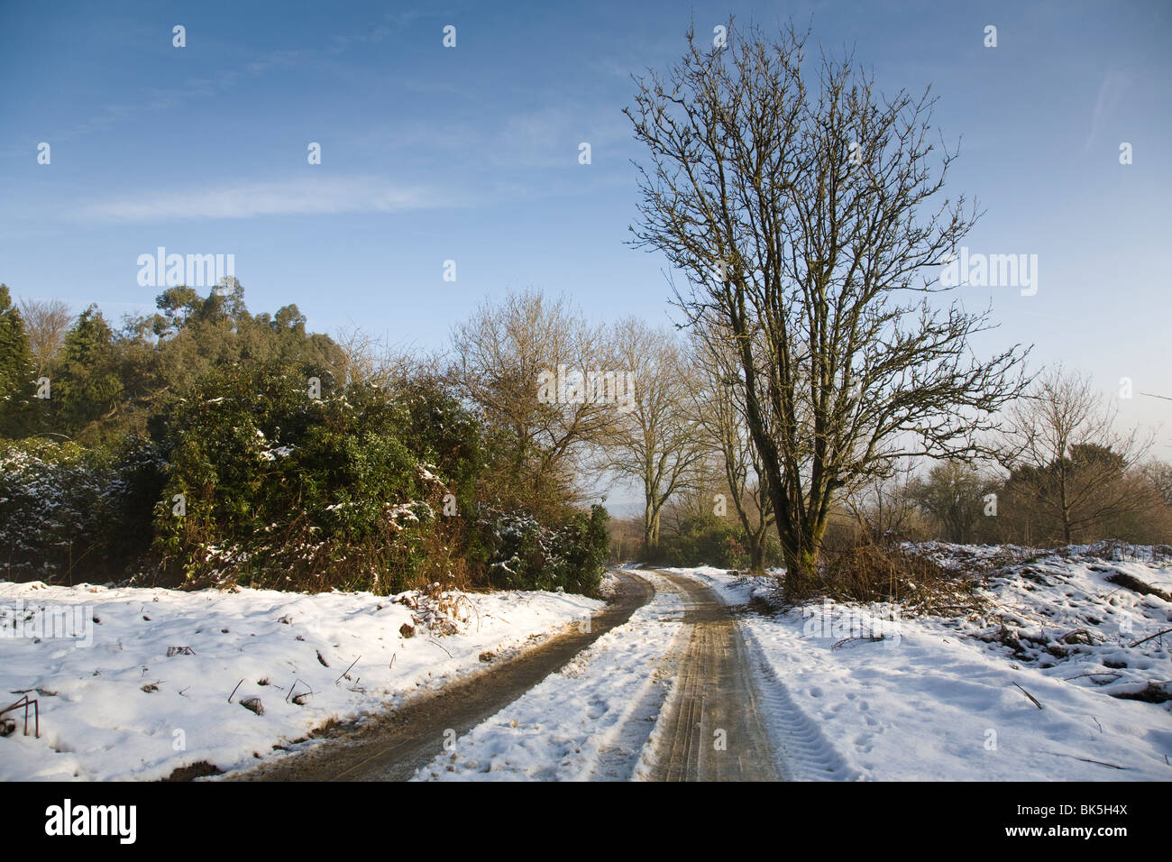 Eine schneebedeckte Land Track, Surrey, England. Stockfoto