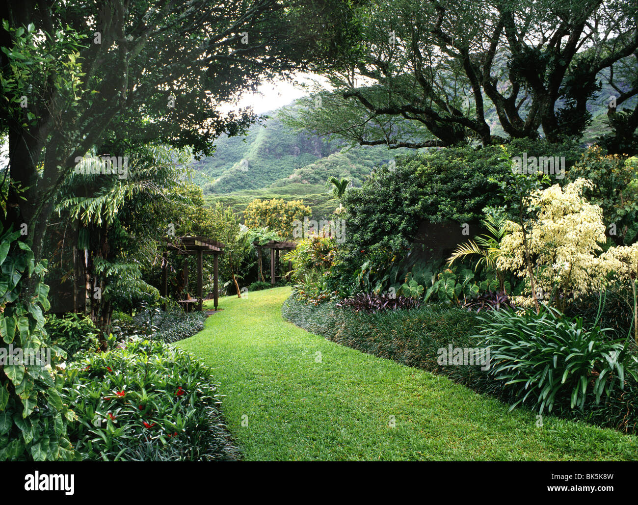 Lyon Arboretum in Honolulu, Hawaii, Vereinigte Staaten von Amerika, Pazifik Stockfoto