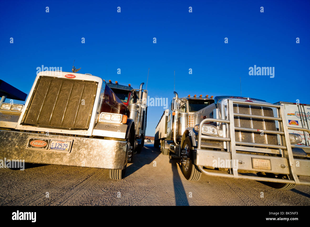Zwei amerikanische Peterbilt Trucks an einer Raststätte in den mittleren Westen vor blauem Himmel Stockfoto