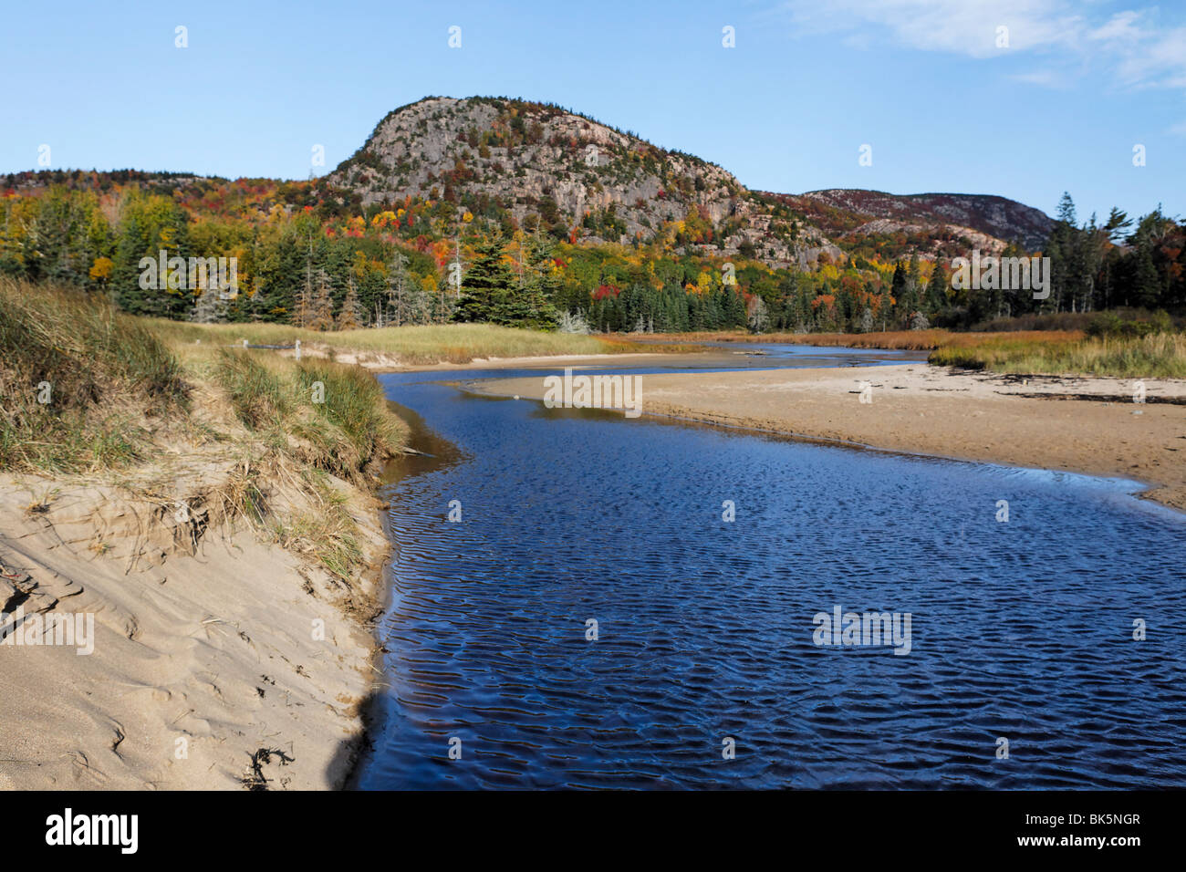 Creek am großen Kopf in der Nähe von Sandstrand, Mt Desert Island, Acadia National Park, Maine Stockfoto