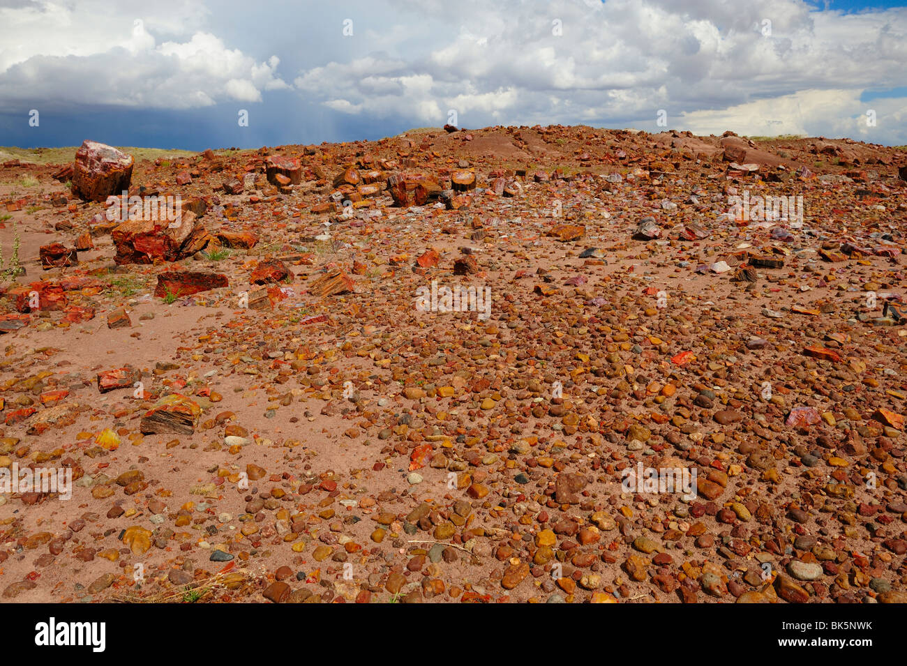 Malerische Aussicht auf Petrified Forest National Park, Arizona, USA Stockfoto