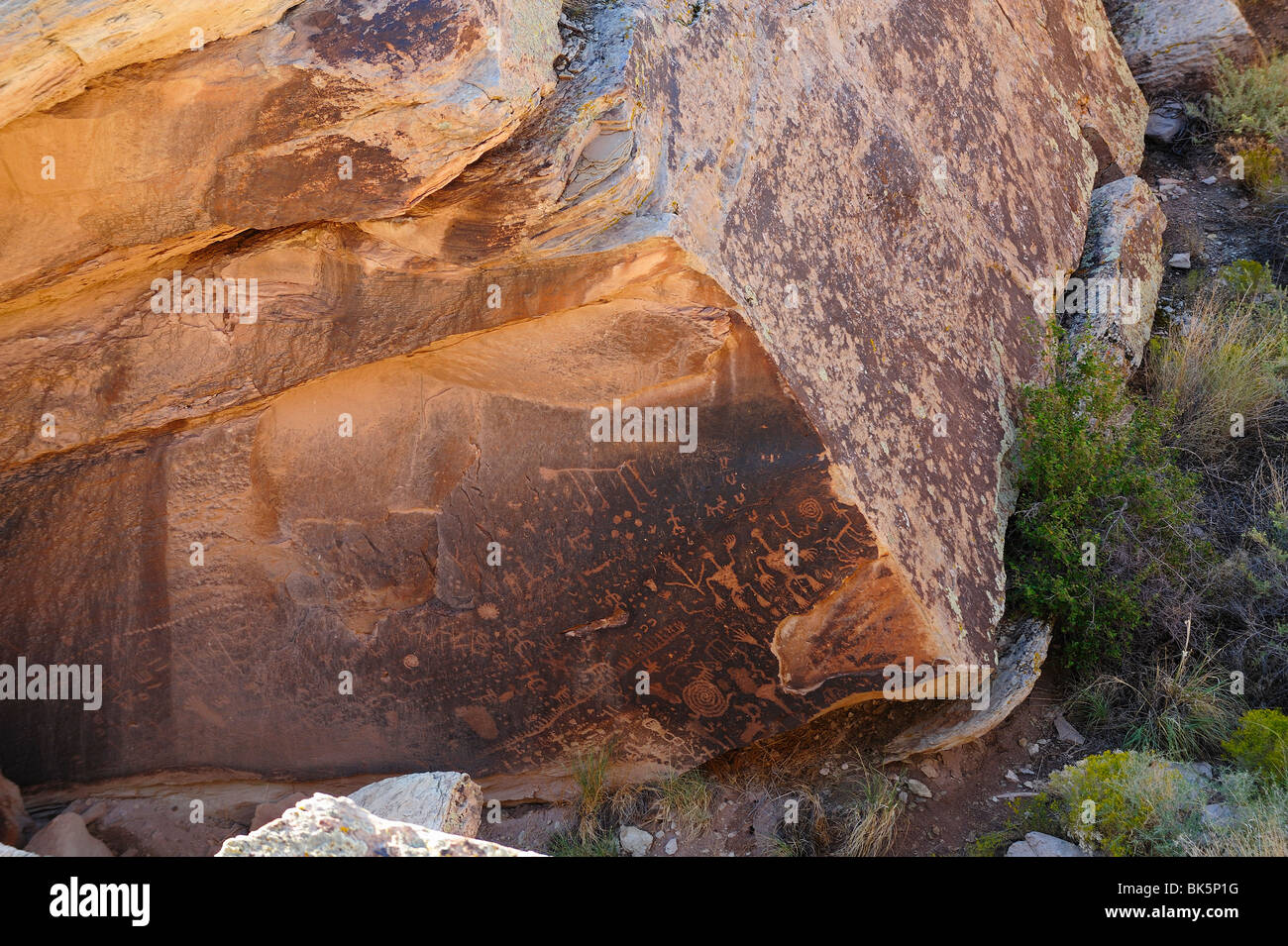 Petroglyphen in versteinerten Forest National Park, Arizona, USA Stockfoto