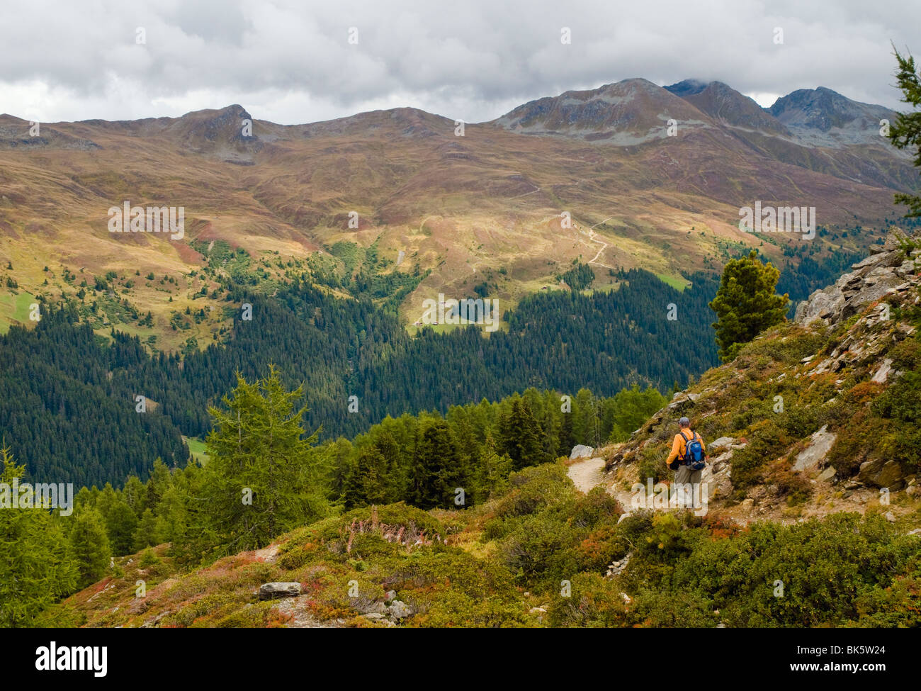 Walker unterwegs an den Hängen des Rinerhorn oberhalb Davos, Schweiz Stockfoto