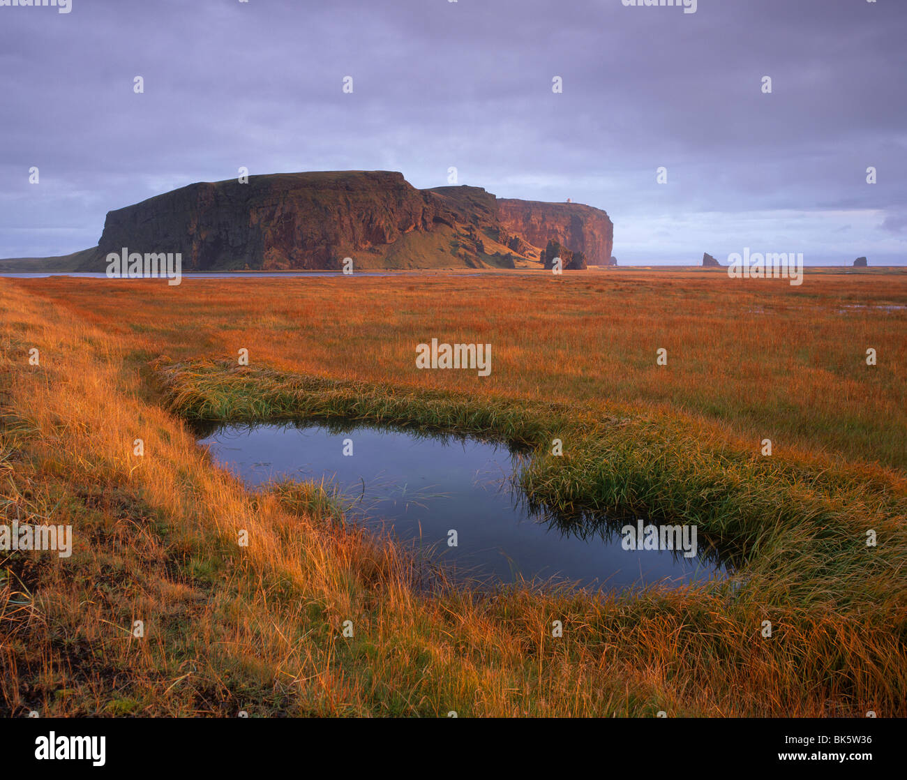 Dyrhólaey Inselberg und Klippen, südlichster Punkt von Island, von der tief liegenden Küste in der Nähe von Vik, Iceland, Polarregionen Stockfoto