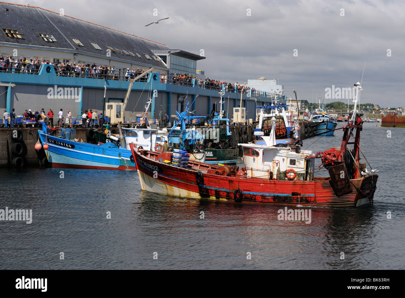 Angelboote/Fischerboote ihren Fang entladen Guilvinec, Finistere, Bretagne, Frankreich, Europa Stockfoto