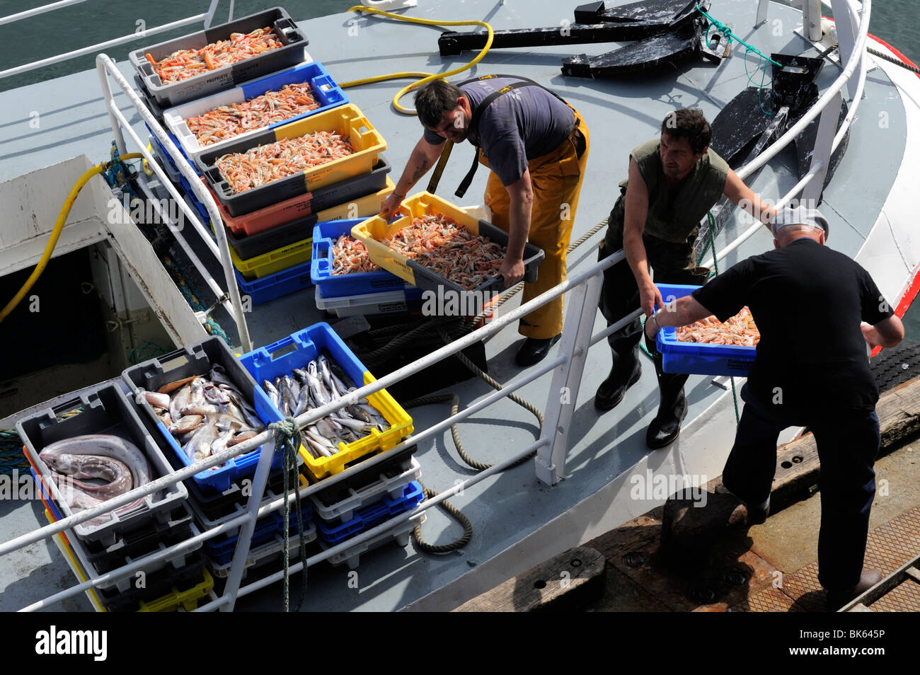 Fischer ihren Fang entladen Guilvinec, Finistere, Bretagne, Frankreich, Europa Stockfoto