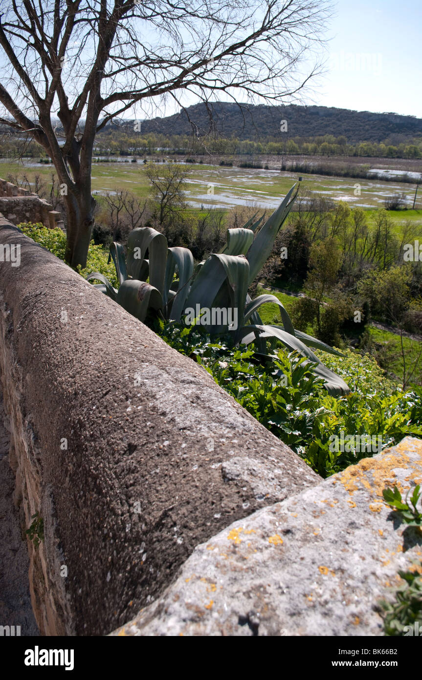 Überschwemmten Wiesen rund um die Abtei Montmajour (Frankreich) Stockfoto