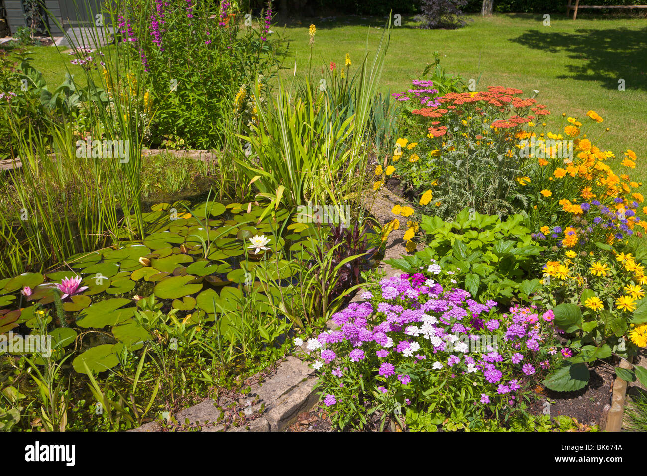 Mehrjährige Blumen Rahmen um einen Gartenteich, Wirral, England Stockfoto