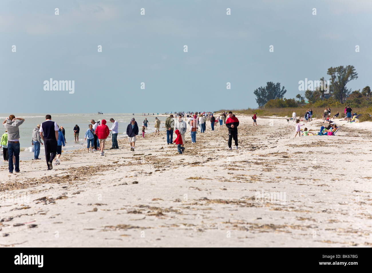 Menschen zu Fuß entlang einer Strand, "Sanibel Island", Florida, USA Stockfoto